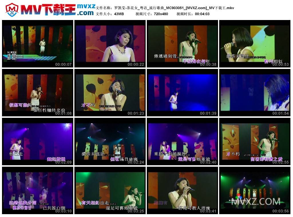 罗凯莹-茶花女_粤语_流行歌曲_MC903051